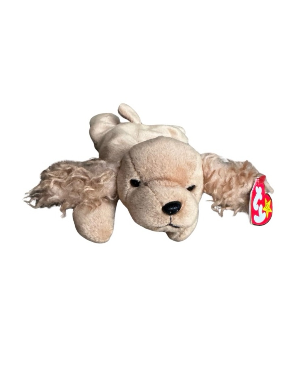 Ty Spunky Beanie Baby Cocker Spaniel Dog 1997